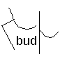 bud